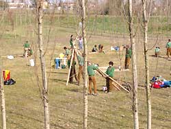 A group of Scouts working within the framework of the Phoenix project
